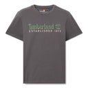 Established 1973 Embroidery Logo Tee