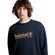 WWES Crew Neck Sweatshirt Regular