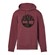 Core Tree Logo Pull Over Hoodie Regular