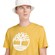 SS Kennebec River Tree Logo Tee Regular