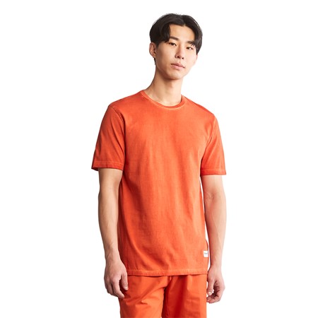 SS Lamprey River Garment DYE Tee Regular