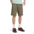 Squam Lake Stretch Twill Chino Short 10in (Straight)