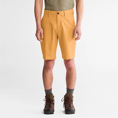 Squam Lake Stretch Twill Chino Short 10in Straight