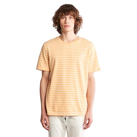 SS Stripe Tee Timberchill Technology Regular