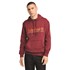 Established 1973 Embroidery Logo Brush Back Hoodie