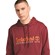 Established 1973 Embroidery Logo Brush Back Hoodie