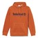 Established 1973 Embroidery Logo Brush Back Hoodie