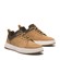 Maple Grove Low Lace Up Sneaker